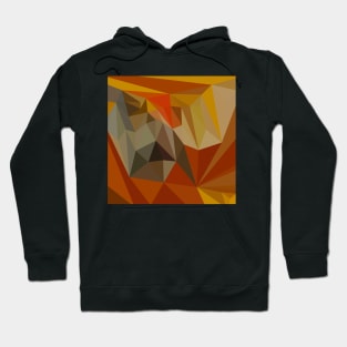 Mahogany Brown Abstract Low Polygon Background Hoodie